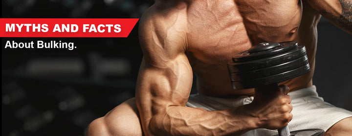 Myths and facts about Bulking