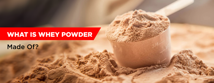What is whey protein made of?
