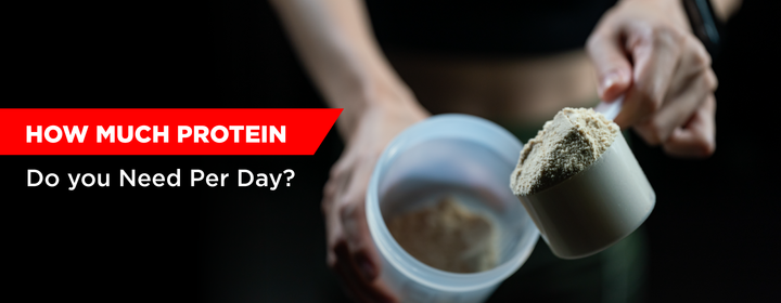 How Much Protein Do you Need Per Day?