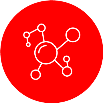 Amino Acids