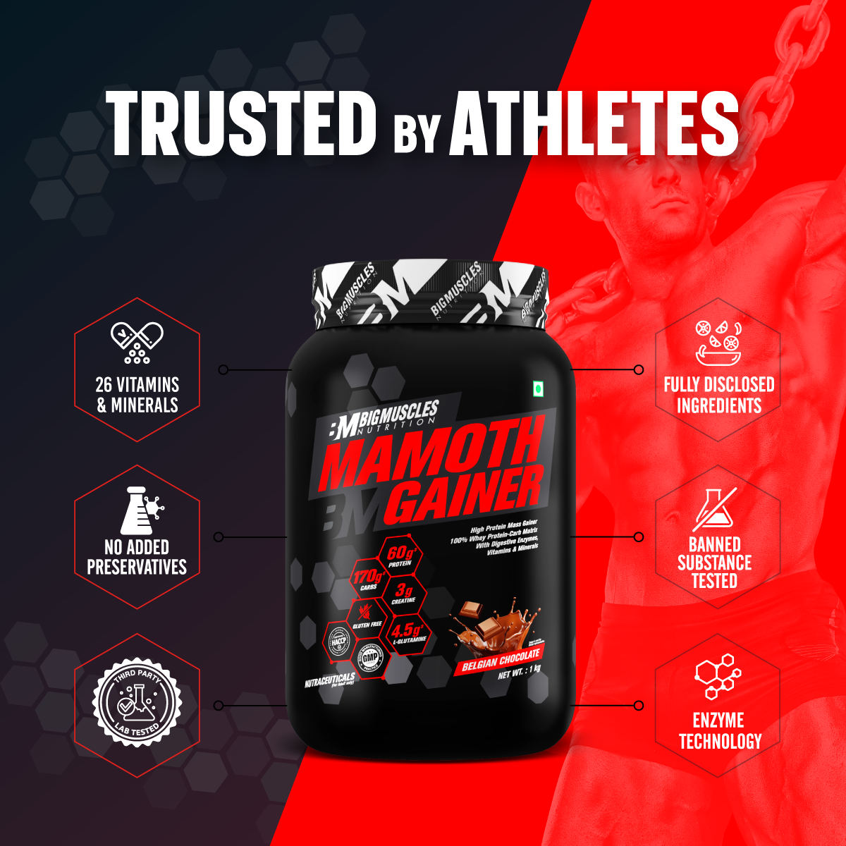 Mamoth Gainer