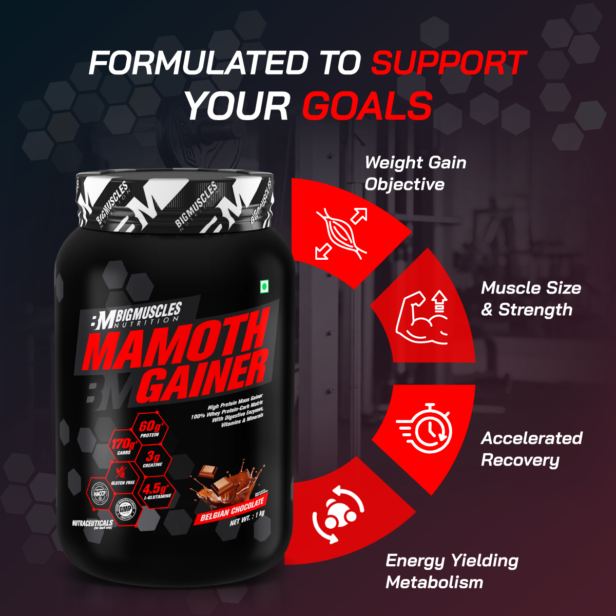 Mamoth Gainer