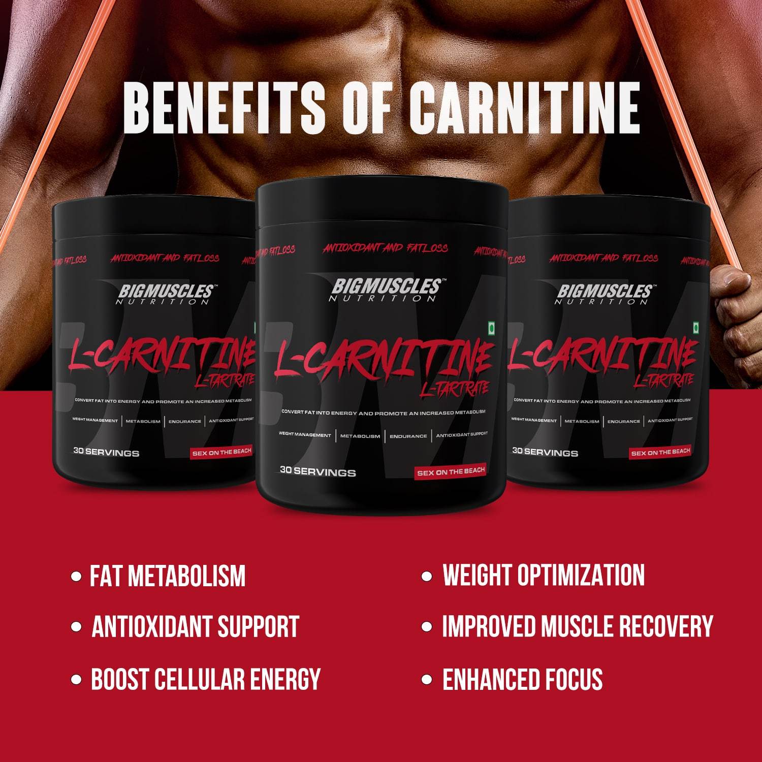CARNITINE POWDER