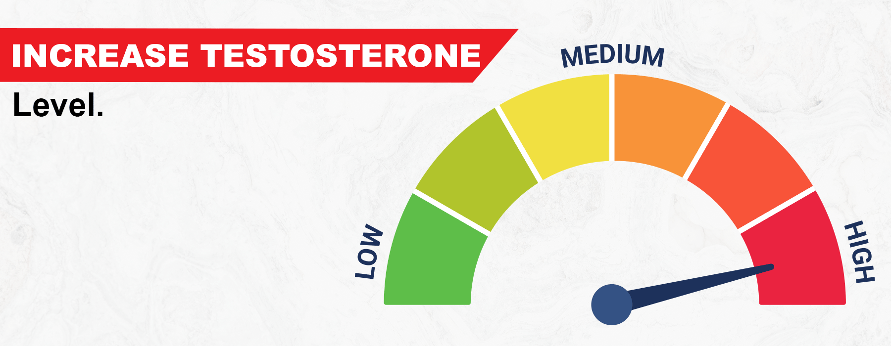 What are the foods that increase your testosterone?