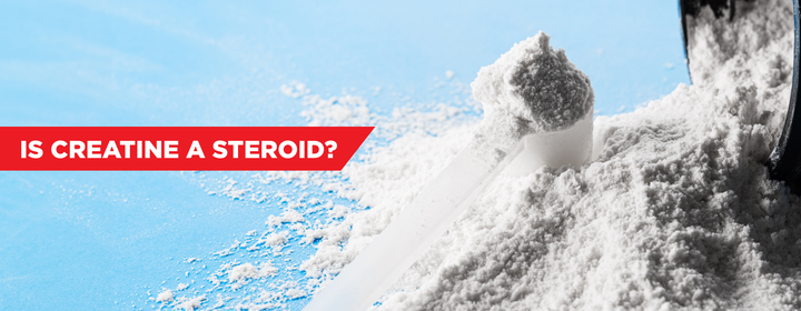 Is Creatine a Steroid