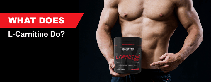 l carnitina en mesoterapia l carnitina inyectable mesoterapia Integratori a base di Acetil L-Carnitina