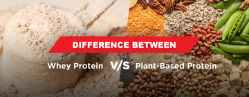 What is the Difference between Whey Protein And Protein: Key Facts Revealed