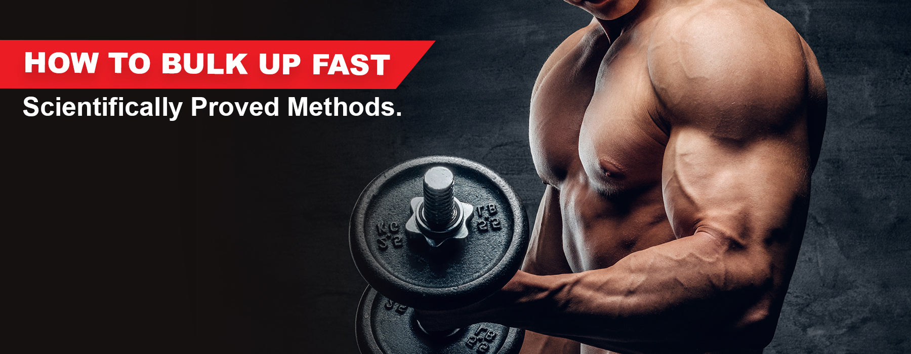 Bulk Up Program How to bulk up the right way: Scientifically Proven Methods