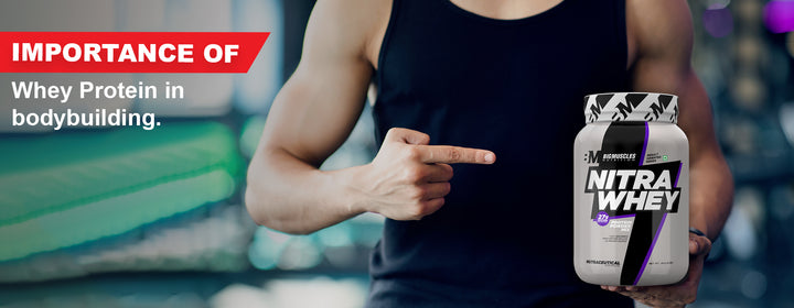 Importance of Whey Protein in Bodybuilding