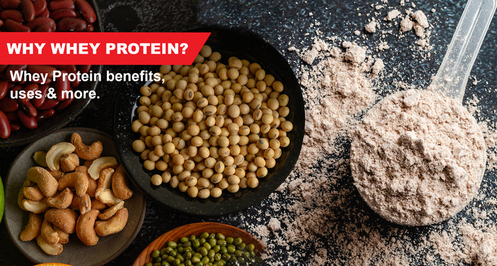 Why Whey Protein? Whey Protein Benefits, Uses and Many More