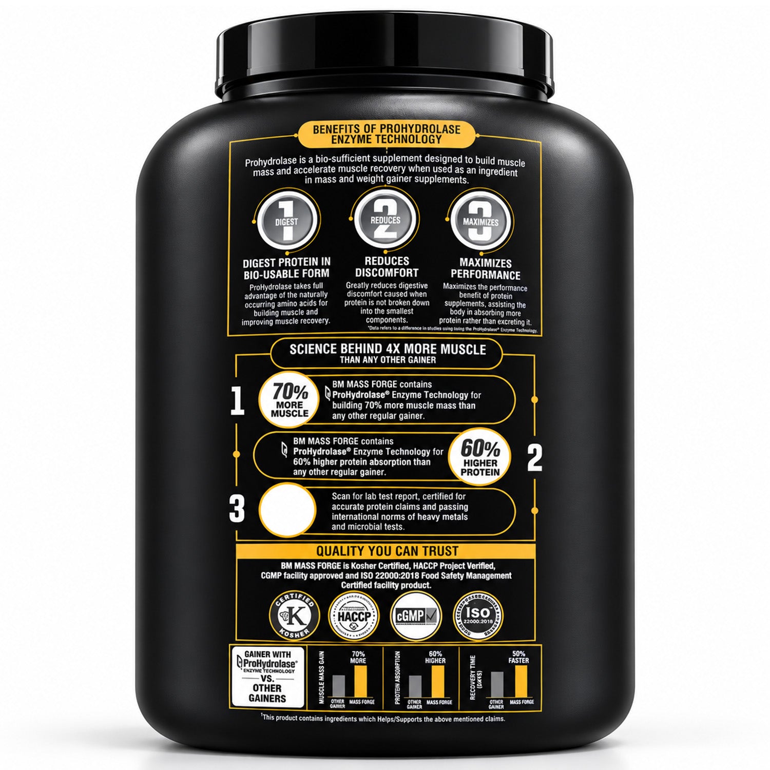 Mass Forge | 30G Protein | High Calorie Gainer