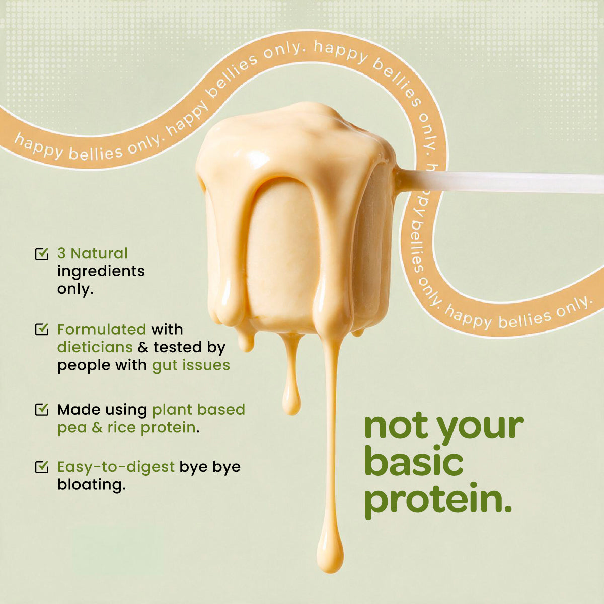 Plant Protein Isolate | Vegan Protein Powder | Clean Recovery | Pea & Brown Rice Protein
