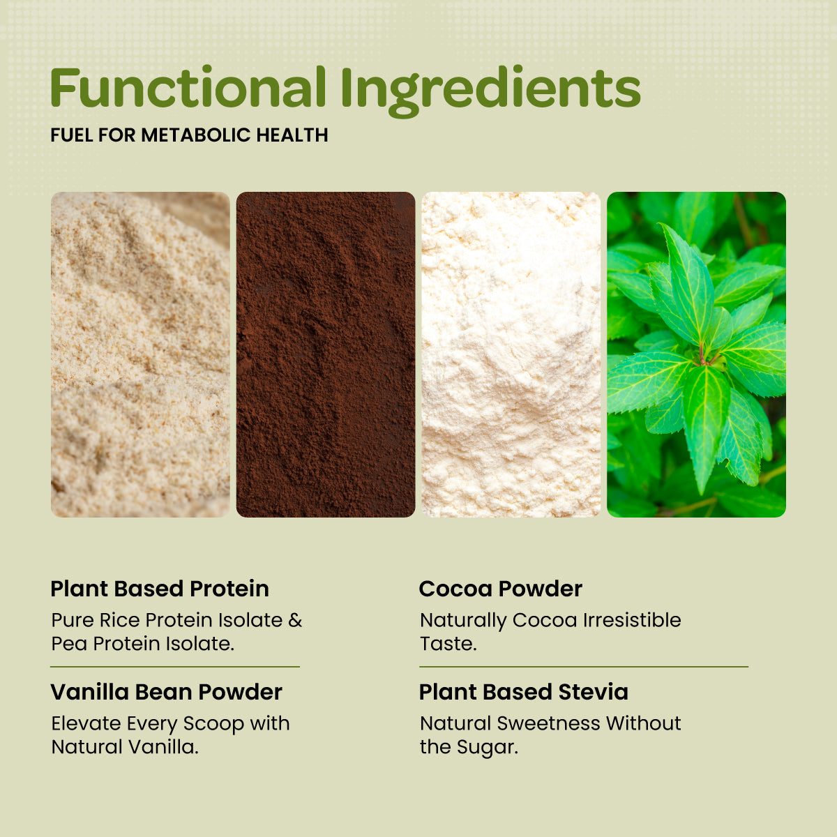 Plant Protein Isolate | Vegan Protein Powder | Clean Recovery | Pea & Brown Rice Protein
