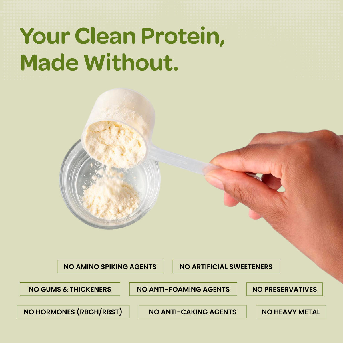 Plant Protein Isolate | Vegan Protein Powder | Clean Recovery | Pea & Brown Rice Protein