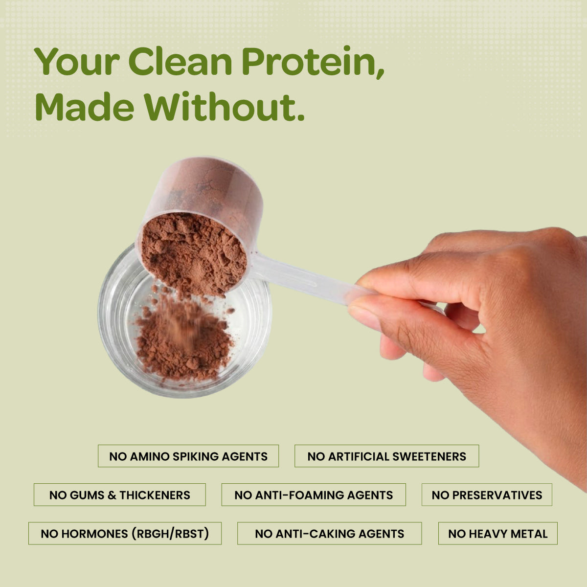 Plant Protein Isolate | Vegan Protein Powder | Clean Recovery | Pea & Brown Rice Protein