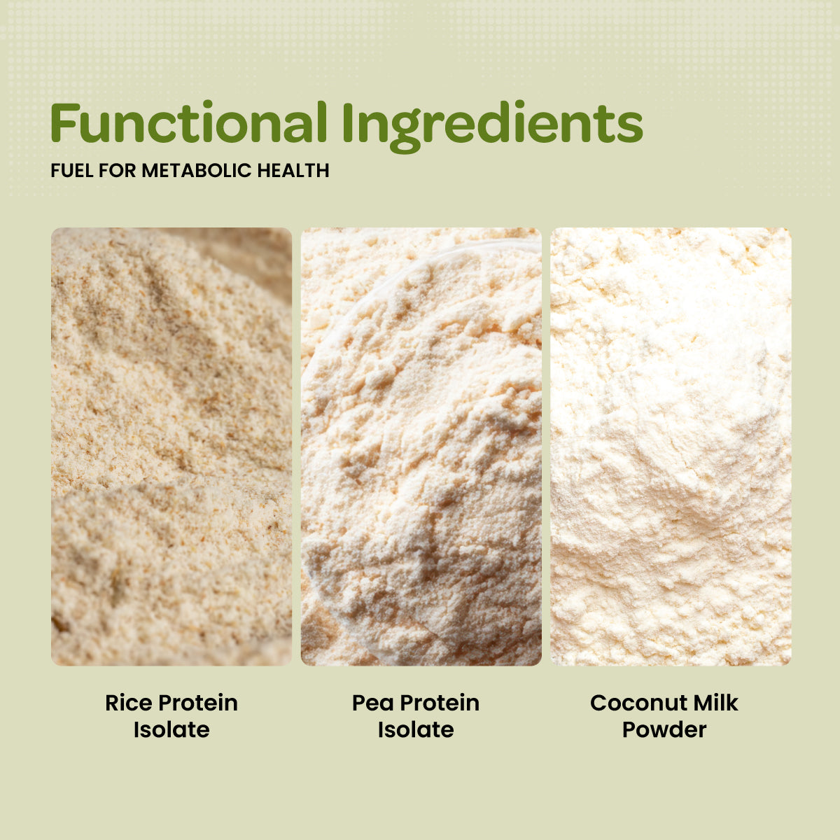 Plant Protein Isolate | Vegan Protein Powder | Clean Recovery | Pea & Brown Rice Protein