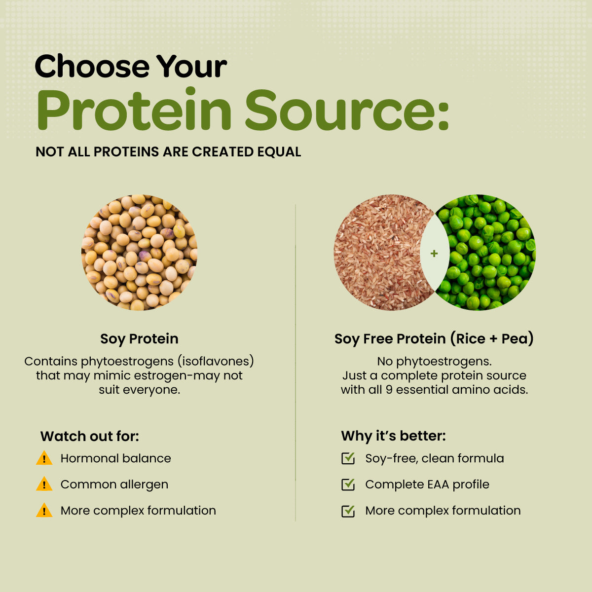 Plant Protein Isolate | Vegan Protein Powder | Clean Recovery | Pea & Brown Rice Protein