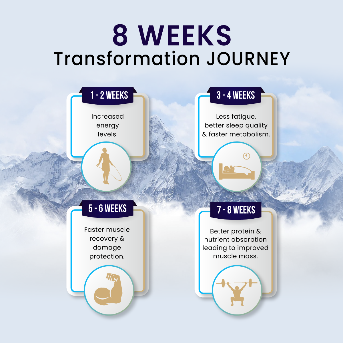 Pure Himalayan Shilajit Gold Resin