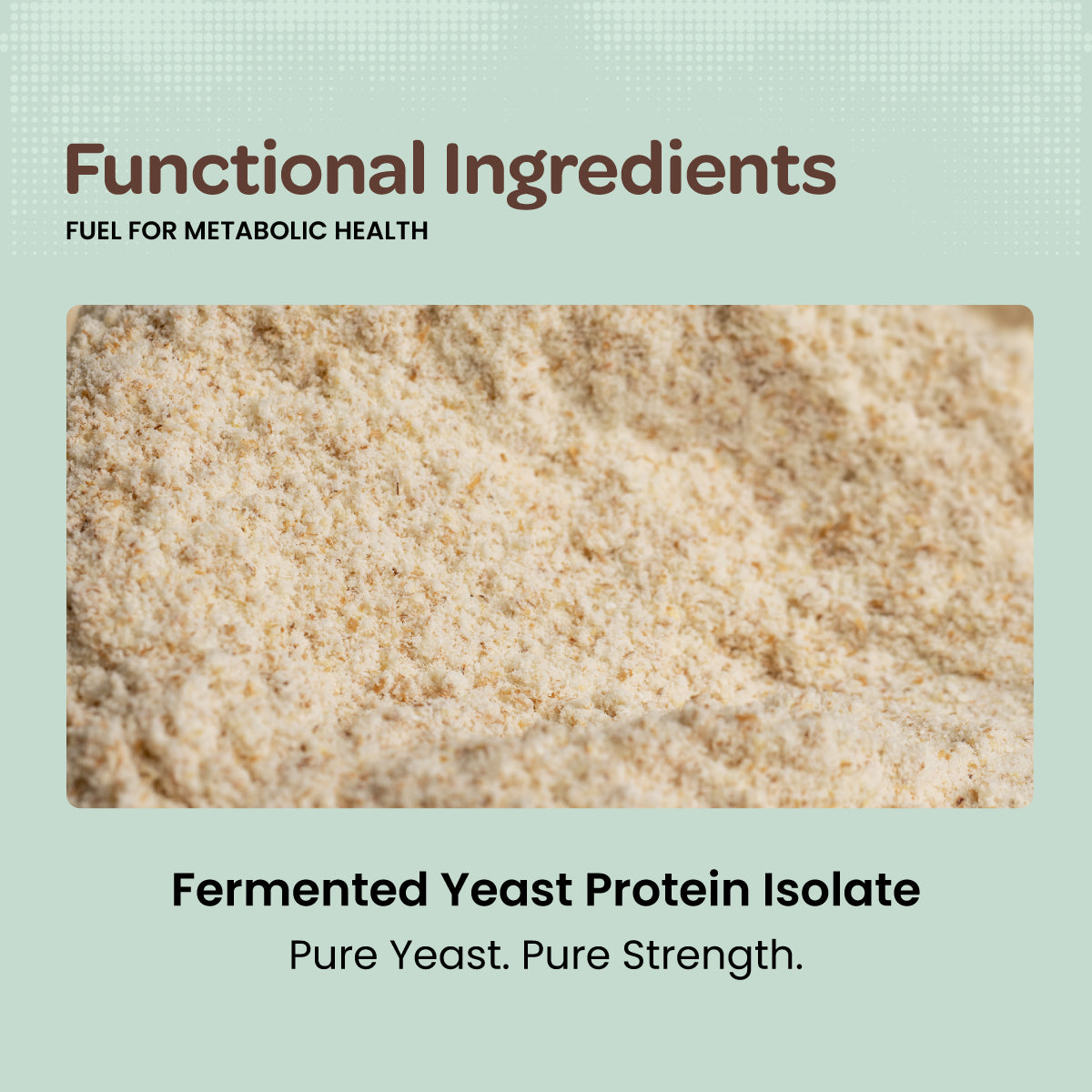 Yeast Protein | Fermented Protein | PDCAAS Score - 1