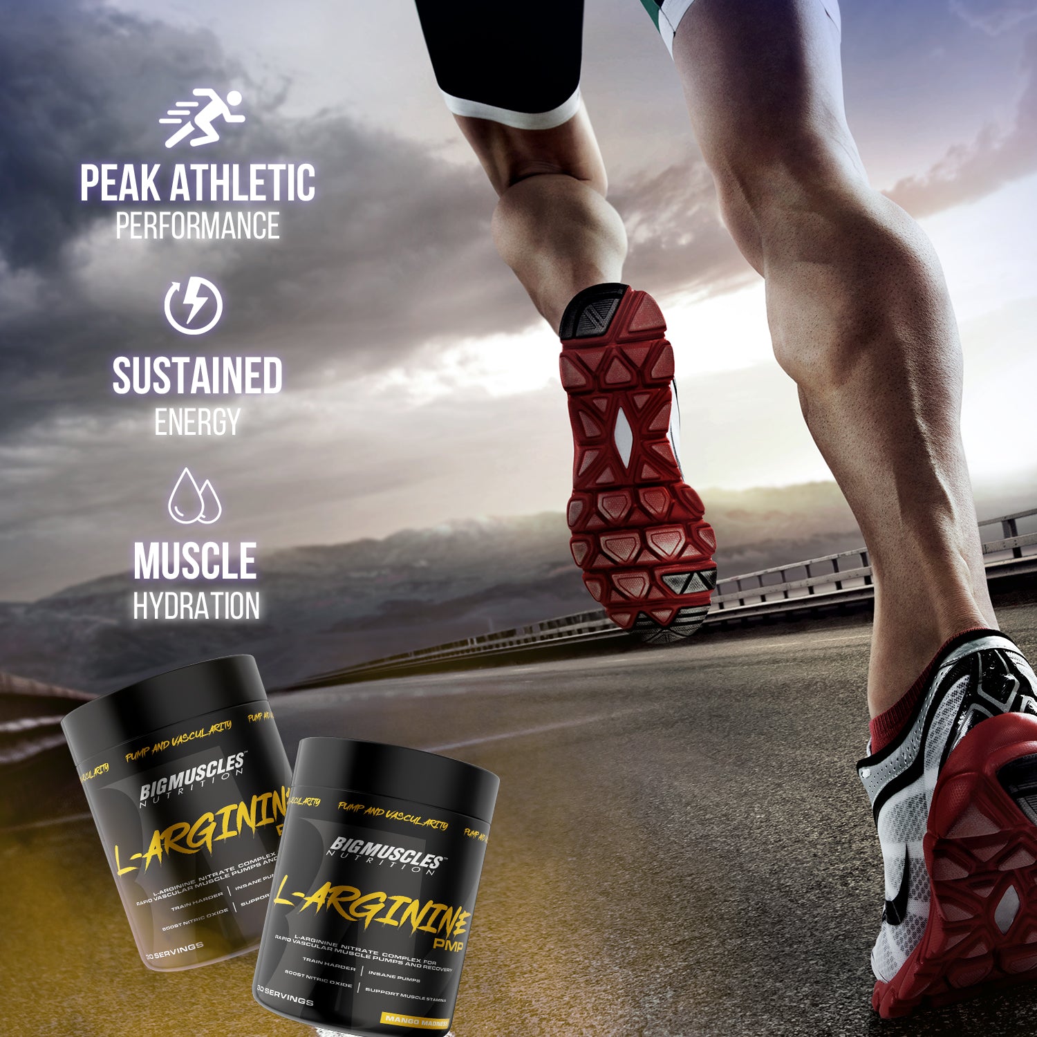 l arginine pmp powder